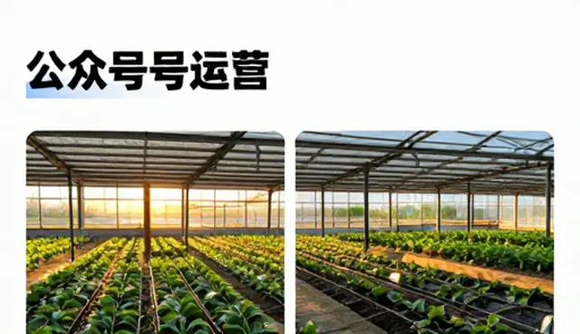 公众号运营:网络维护策略对业务发展的关键影响